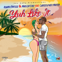 Yuh Like It(feat. Christopher Martin)_Ashana Finesse,Marlon Easy,Christopher Martin