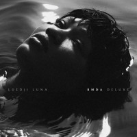 Sinais_Luedji Luna,Oddisee