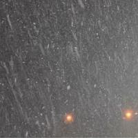First Snowfall_Ryan Pollie