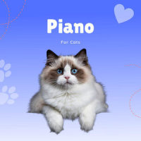 Music Pets_Piano Peace,Pet Music Therapy,Pets Love Music