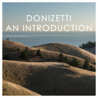 Donizetti: L'elisir d'amore / Act II - "Una furtiva lagrima" (Adapt. for Cello and Orchestra)_Camille Thomas,Brussels Philharmonic,Mathieu Herzog