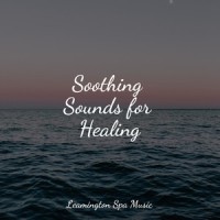 Stress Free Sounds_Sounds of Nature Relaxation,Relaxing Music,Deep Sleep