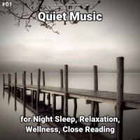 Great Ambient Music_Relaxing Music,Yoga,Deep Sleep