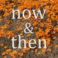 Now & Then_Lily Kershaw