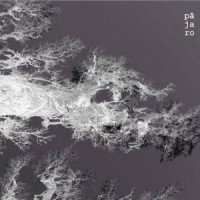 Sepia_Pájaro