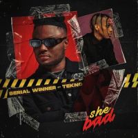 She Bad_Serial Winner,Tekno