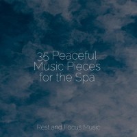 Forest Creek Sounds_Relaxing Music Therapy,Zen Meditate,Wellness
