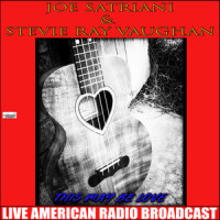 Life Without You_Joe Satriani,Stevie Ray Vaughan