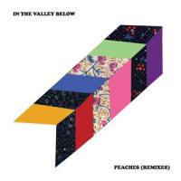 Peaches_In The Valley Below,We Love Machines
