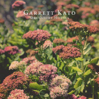 Drugstore Houses_Garrett Kato