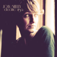 Something Small_Joan Shelley