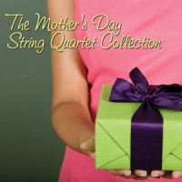 Home(String Quartet Rendition of Michael Buble)_Vitamin String Quartet