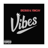 Vibes_Exodus