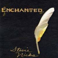 Destiny_Stevie Nicks