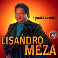 Pajaro Chogui_Lisandro Meza