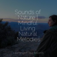 Dreamstate_Natural Sample Makers,Deep Sleep,Academia de Música para Massagem e Relaxamento