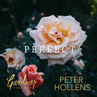 Perfect_Gardiner Sisters,Peter Hollens