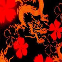 Enter the Dragon_Michael Moore