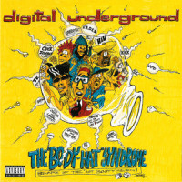 Doo Woo You_Digital Underground