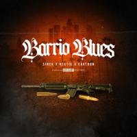 Barrio Blues (feat. Hectik & Cartoon)_Sinek,Hectik,Cartoon