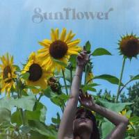 Sunflower_Ariel Petrie
