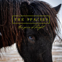 The Price of Flight_The Spacies,David Cook,Ross Lara