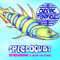 Eternal Wheel_Ozric Tentacles