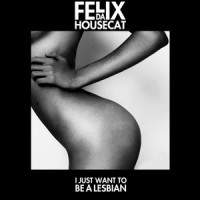 I Just Want to Be a Lesbian(feat. Romina Cohn)_Felix Da Housecat,Romina Cohn