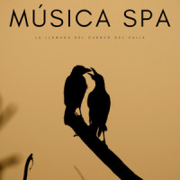 Tonos Cómodos_Sonidos De Pajaros,Spa,Relajante Academia de Música Zen