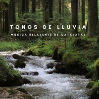 Reposo Rápido_Sonidos de Cascadas,Spa,Sonidos de lluvia y ruido de fondo