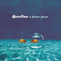 Better Place_Overflow