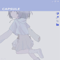カプセル_鎖那