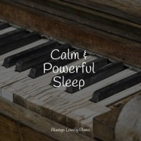 From the Windowpane_Relaxed Minds,Restaurant Background Music,Piano Pianissimo