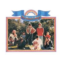 All I Wanna Do_The Beach Boys