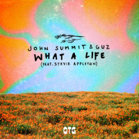 What A Life (feat. Stevie Appleton)_John Summit,Guz,Stevie Appleton
