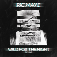 Wild For Da Night_Busta Rhymes