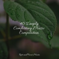 Warmth in the Arctic_Sleepy Times,Lullabies for Deep Meditation,Exam Study Classical Music Orchestra