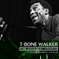 Long Skirt Baby Blues_T-Bone Walker