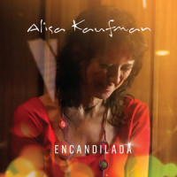 Letter From Home_Alisa Kaufman,Octavio Caruso,Pat Metheny,Emmanuel Jean Paul Michel Baily