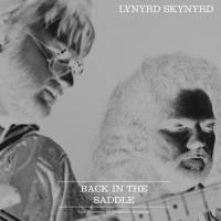 I Ain't The One_Lynyrd Skynyrd