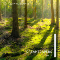 Journey of Calmness Music of Deep Sleep pt. 1_Deep Sleep