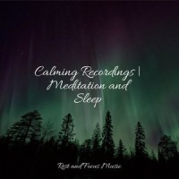 Magic Crystals_Wellness,Mindfulness Mediation World,Lullaby Babies