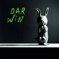 PUNK SONG_Darwin