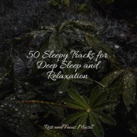 Morning Sunrise_Deep Sleep,Kinderlieder Megastars,Reiki Tribe
