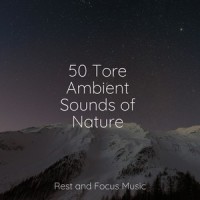 Twilight Mirage_Wellness,Yoga Sounds,Zarobi