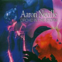 This Is My Store: We Belong Together_Aaron Neville,Art Neville