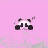Panda Panda Panda Panda_Desiigner
