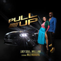 PULL UP_J. Rey Soul,will.i.am,Nile Rodgers
