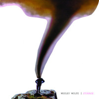 Who's Going To Truly Love You_Wesley Wolfe
