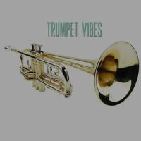 Trumpet Vibes_Daren